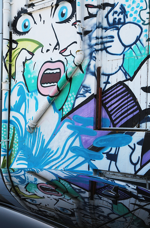 Street Art : New Plymouth : Taranaki : Richard Moore : Journalist : Photographer :